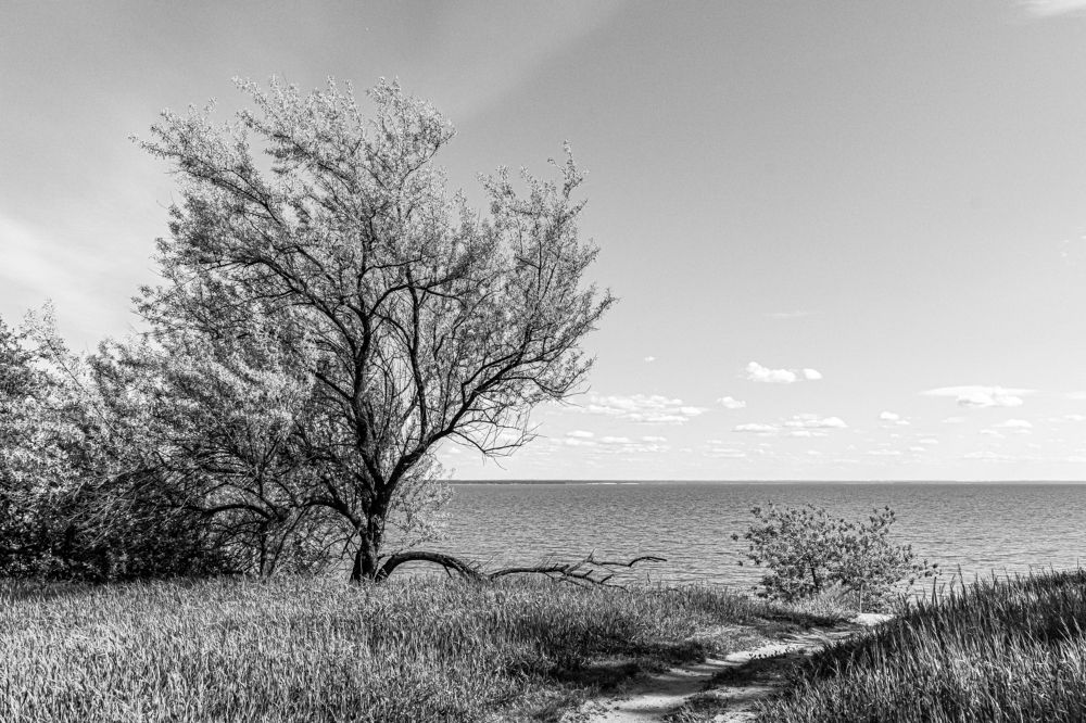 Photograph by Сергей Андрейчук