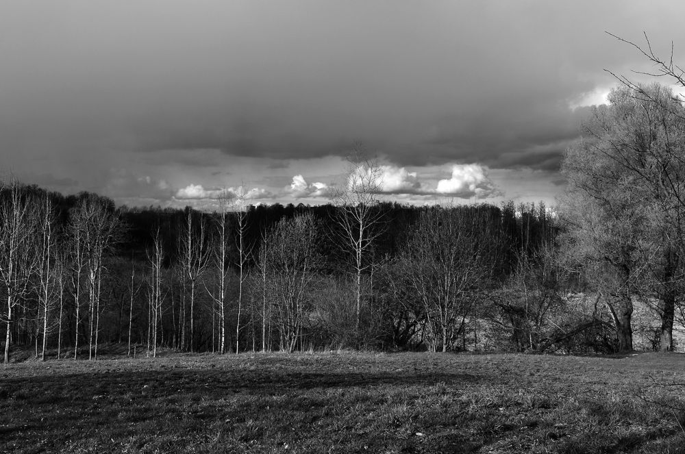 Photograph by Владимир Воложинский