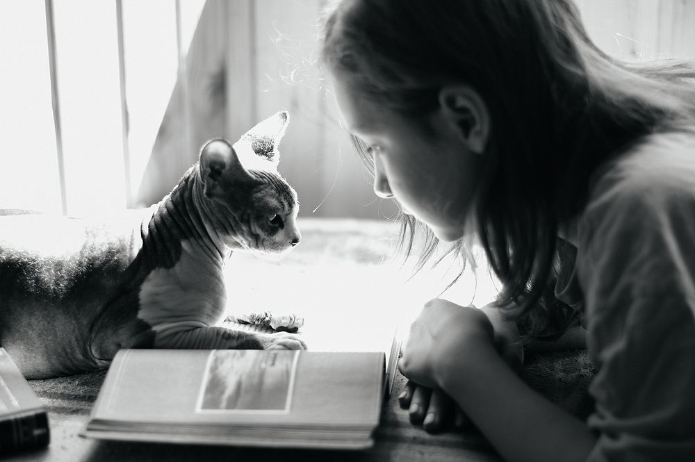 Фотография автора Мария Иодис