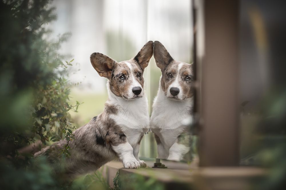 Photograph by Людмила Богуш