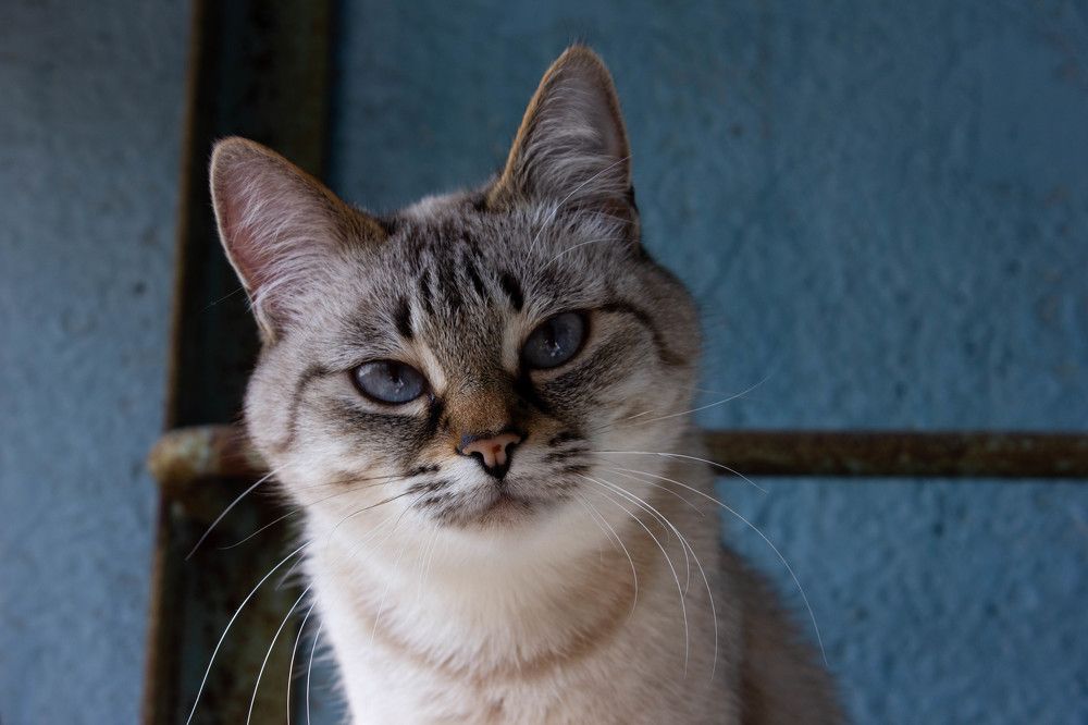 Photograph by Маргарита Филимонова