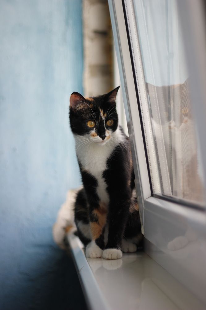 Photograph by Маргарита Филимонова