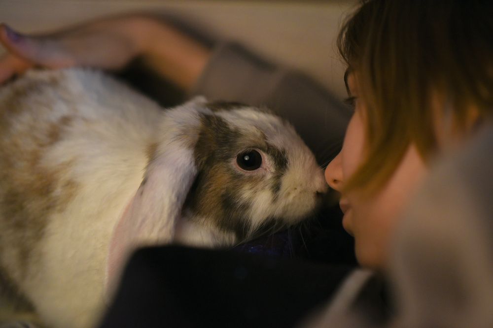 Photograph by Боровикова Анна