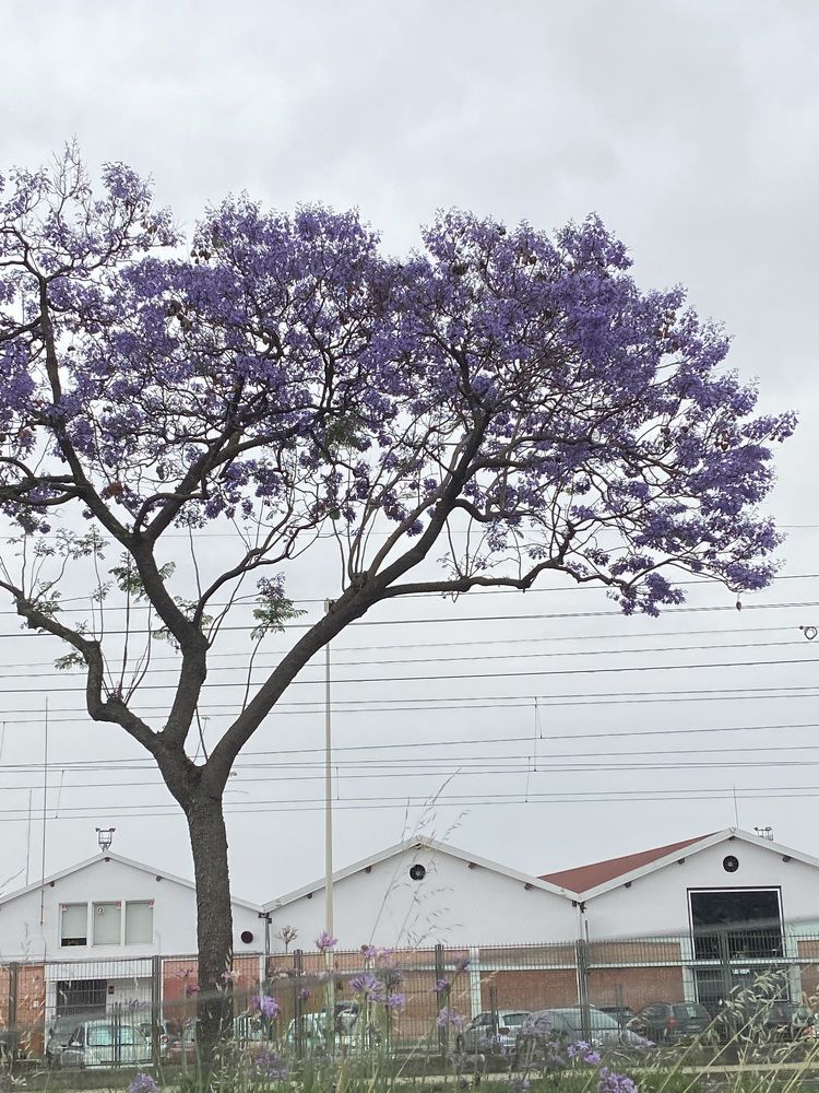 Фотография автора Emiliya