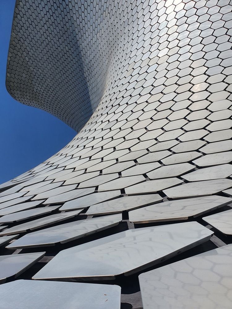 Photograph by Cesar Torres