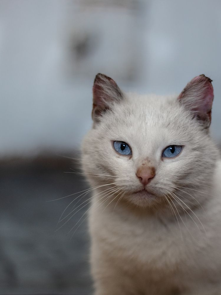 Photograph by Ольга Репина