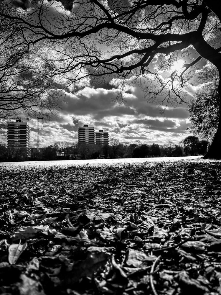 Photograph by John Blake