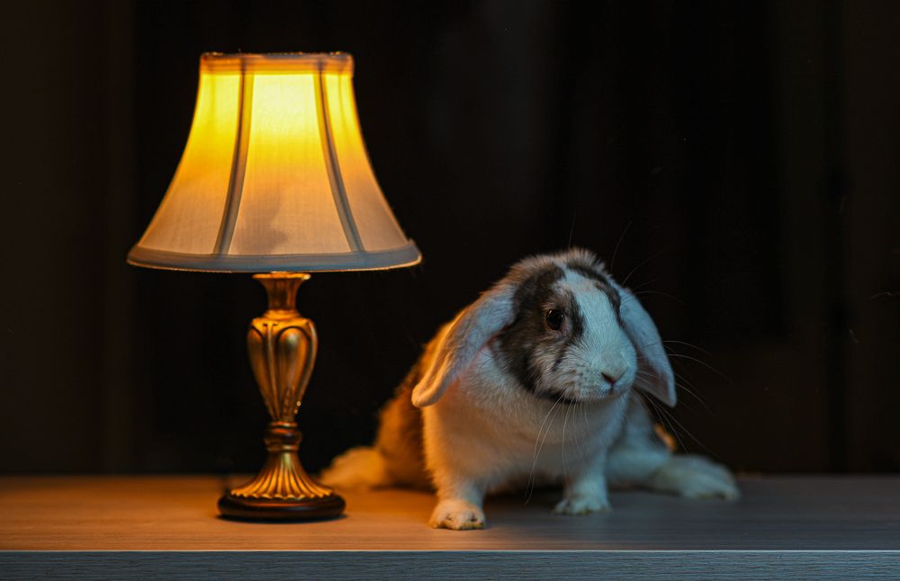 Photograph by Боровикова Анна