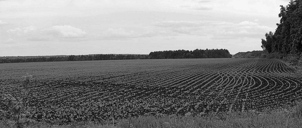 Photograph by Евгений Беленков