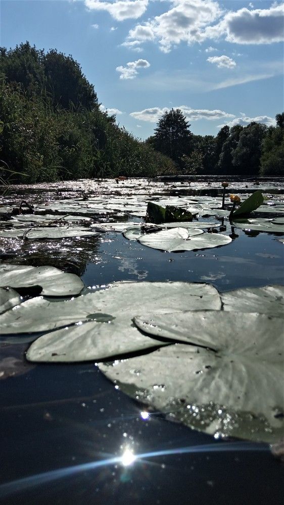 Фотография автора Ольга Пушленкова