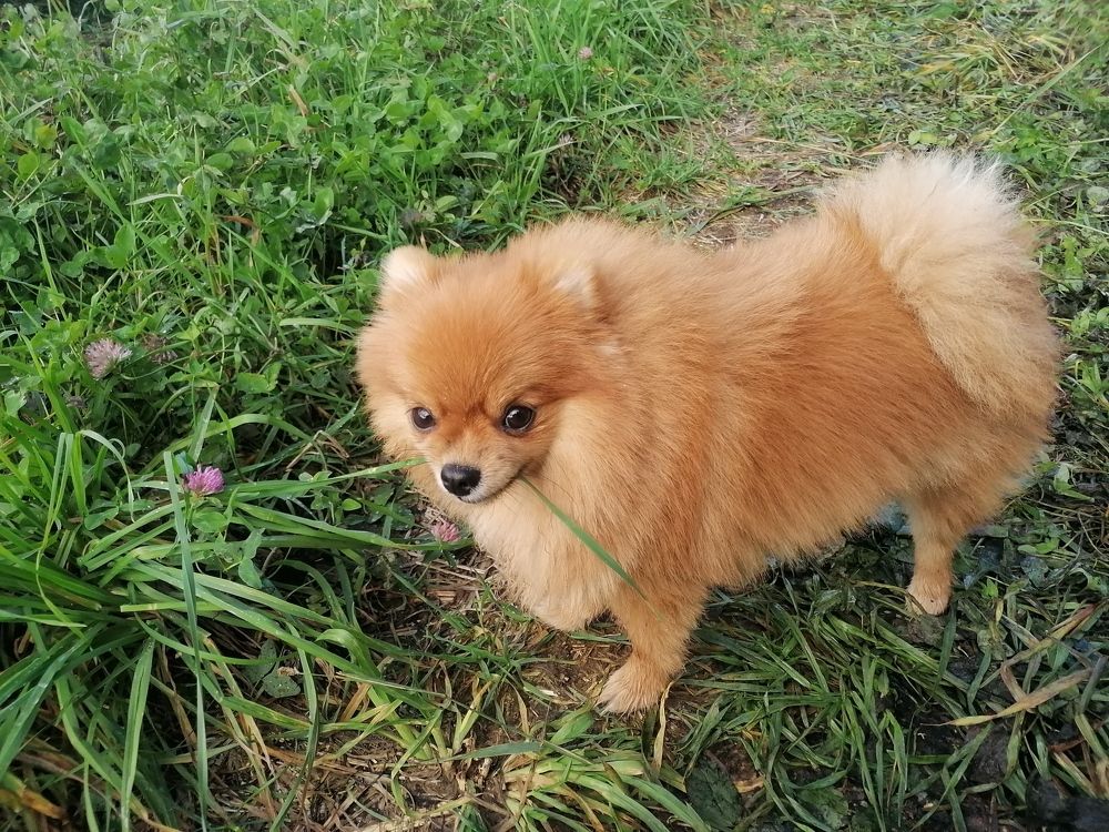 Photograph by Олег Россохин