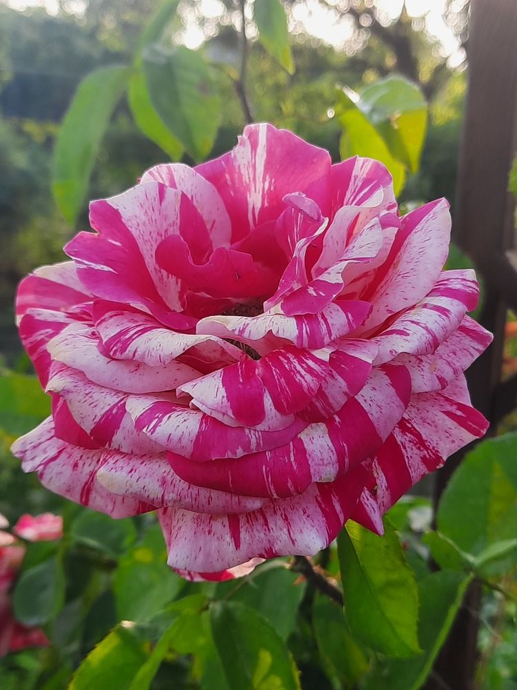 Photograph by Виктор Холодов