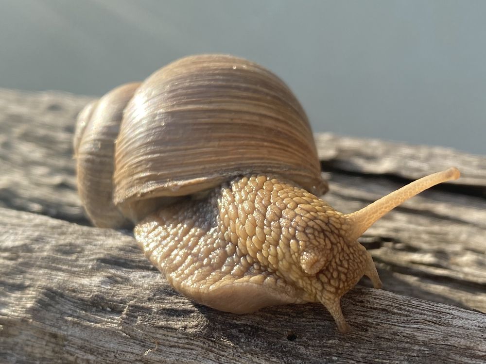 Photograph by Наталья Трусова