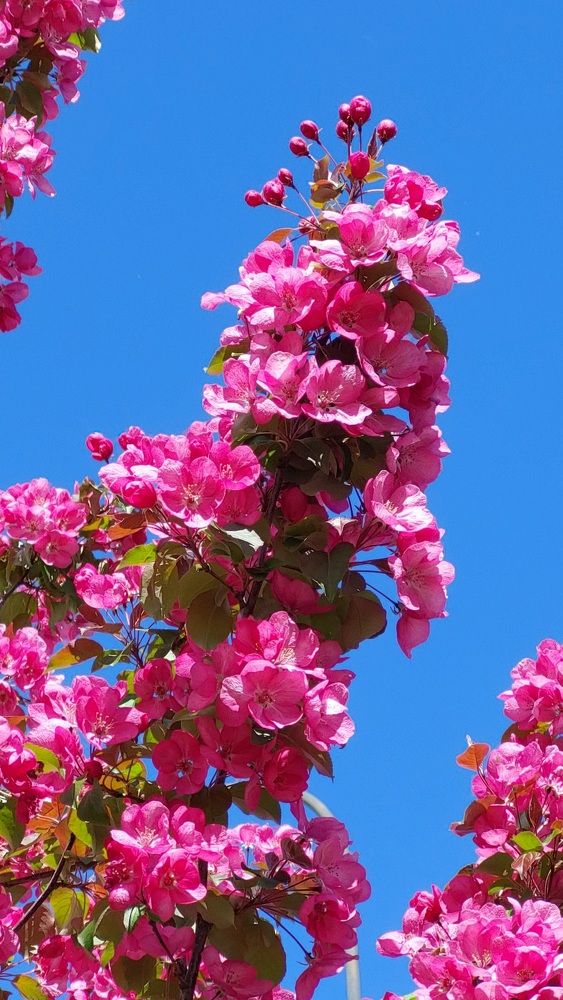 Photograph by Елена Тимченко