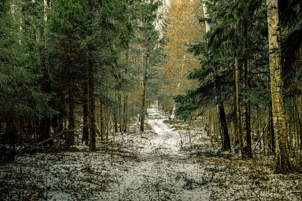 Photograph by Сергей Торхов