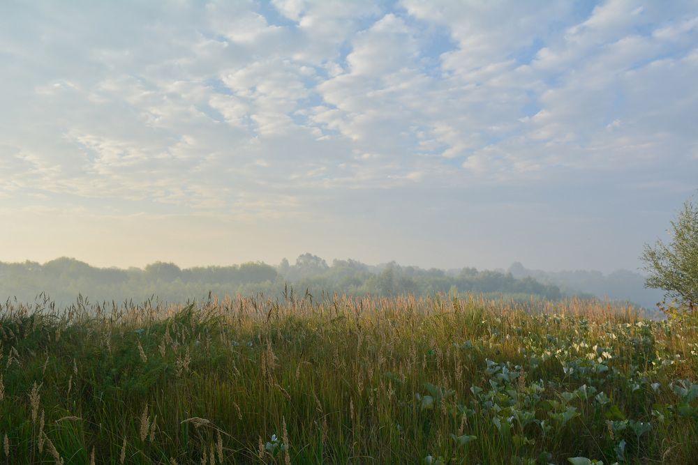 Photograph by Дмитрий Чемоданов