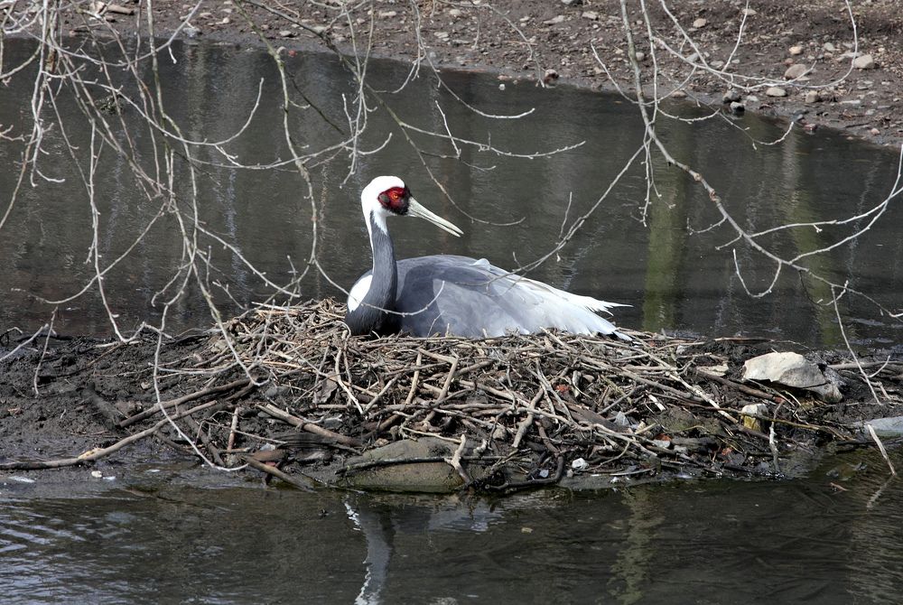 Photograph by Андрей Лукин