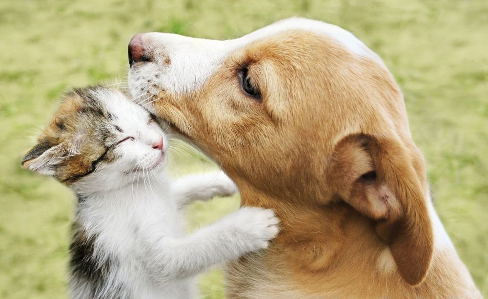 Photograph by Аркадова Елена