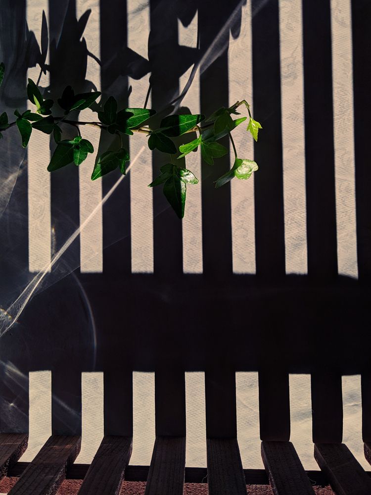 Photograph by Зульфия Курманова