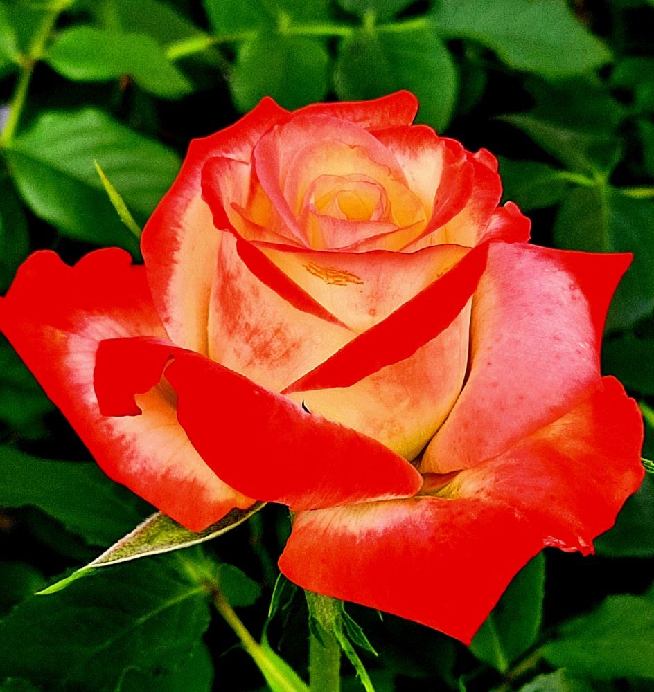 Photograph by Виктор Холодов