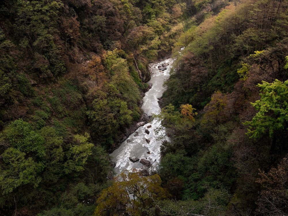 Photograph by Somjit Ghosh