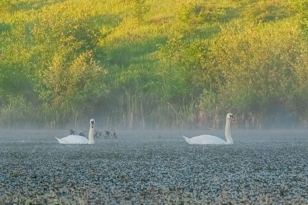 Photograph by Сергей Кравченко