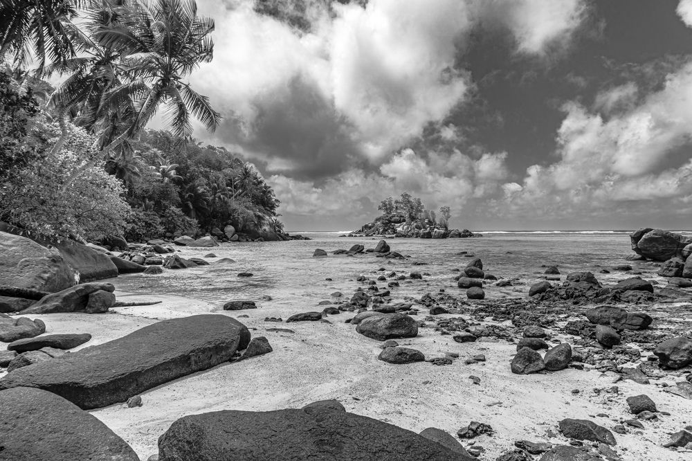 Photograph by Игорь Мурзенко