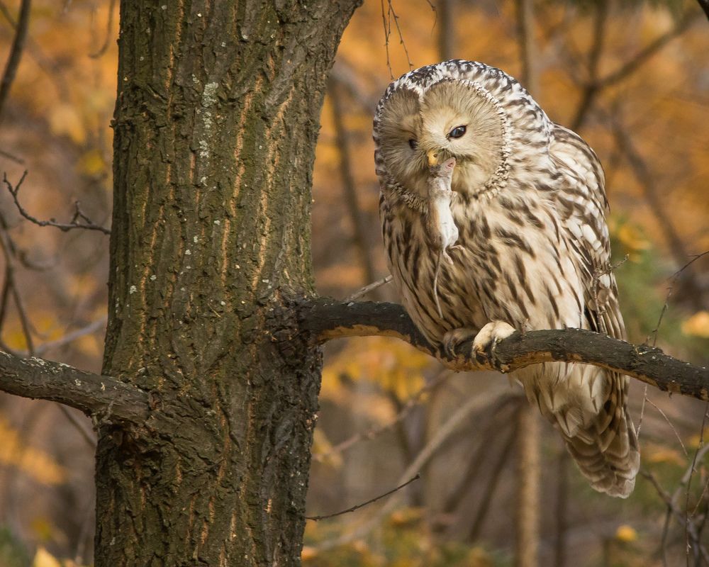 Фотография автора Суслов Дмитрий