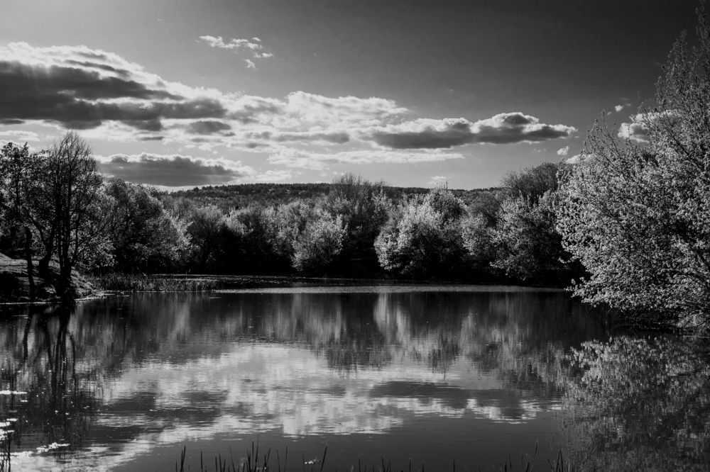 Photograph by Андриянова Юлия