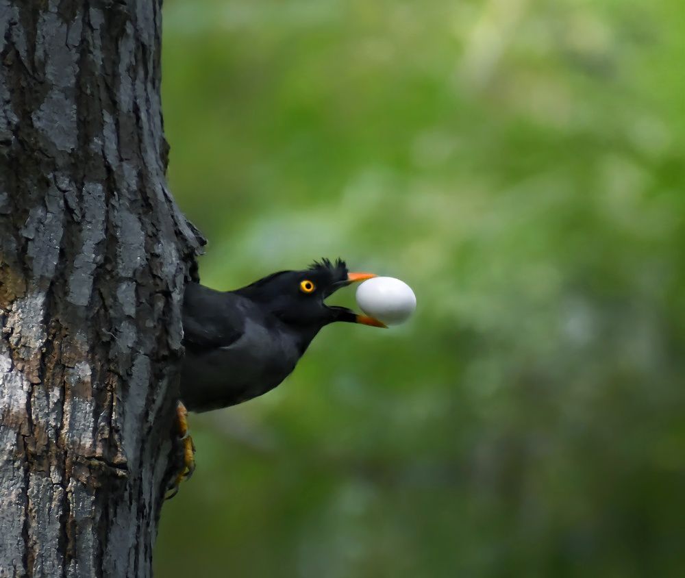 Photograph by Sourin Kastha