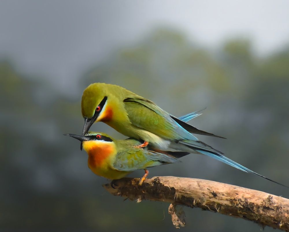 Photograph by Sourin Kastha