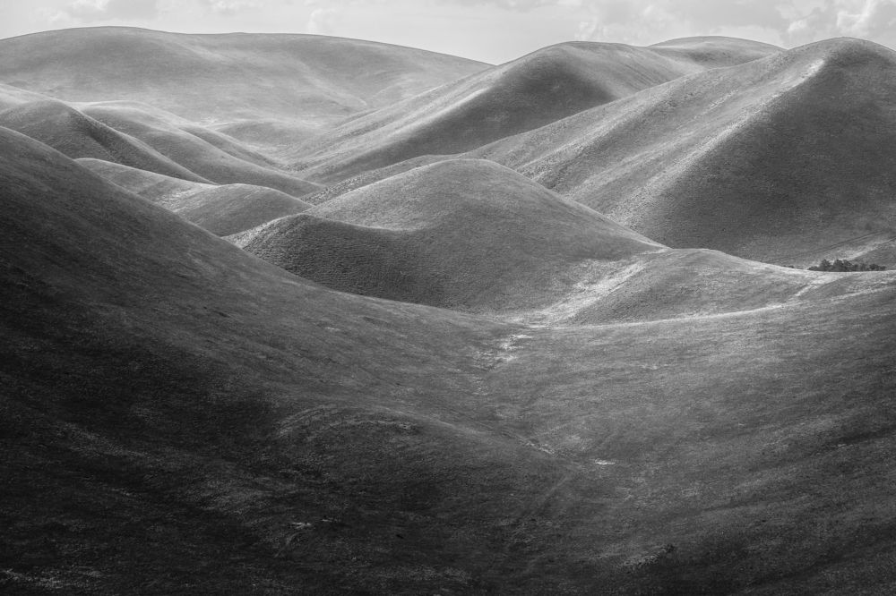 Photograph by Андрей Шарапов