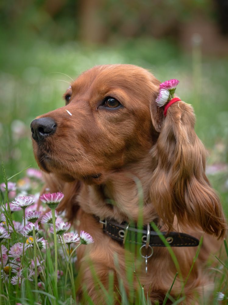 Photograph by Наталья Брюхненко