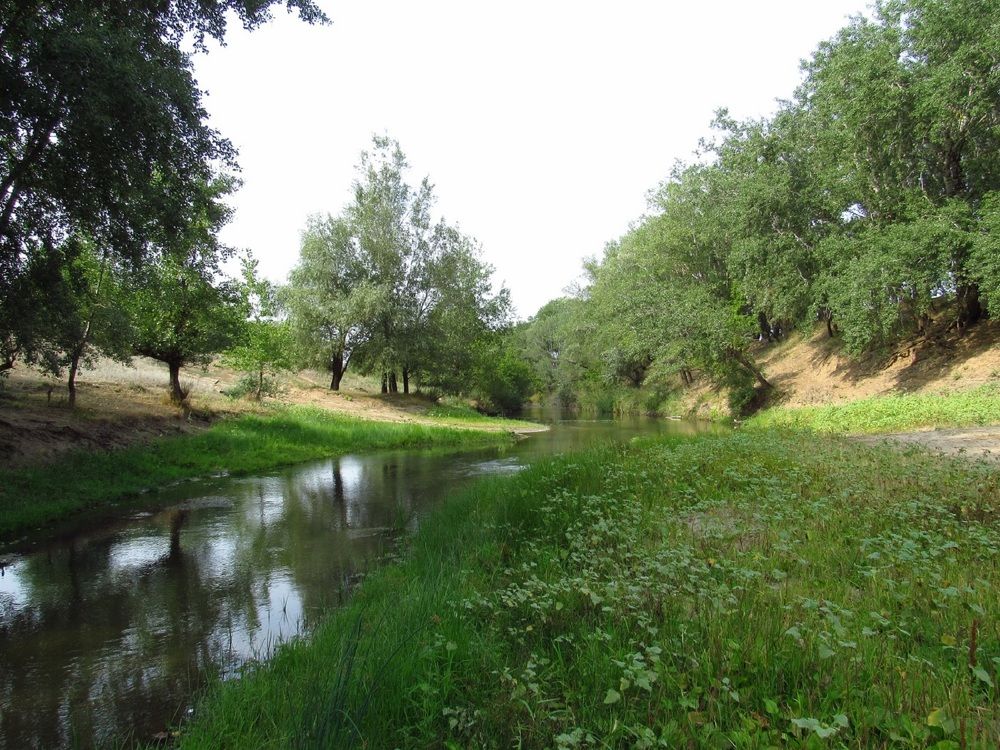 Photograph by Денис Веску