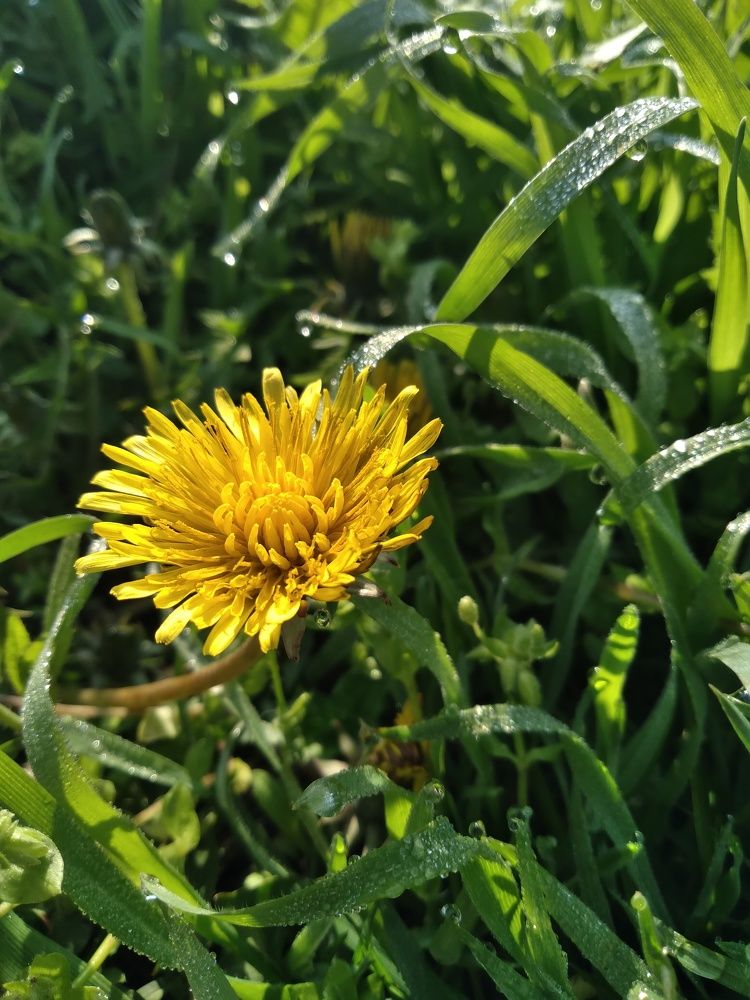 Photograph by Ольга Калинчук