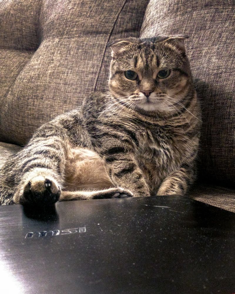 Photograph by Екатерина Милешкина