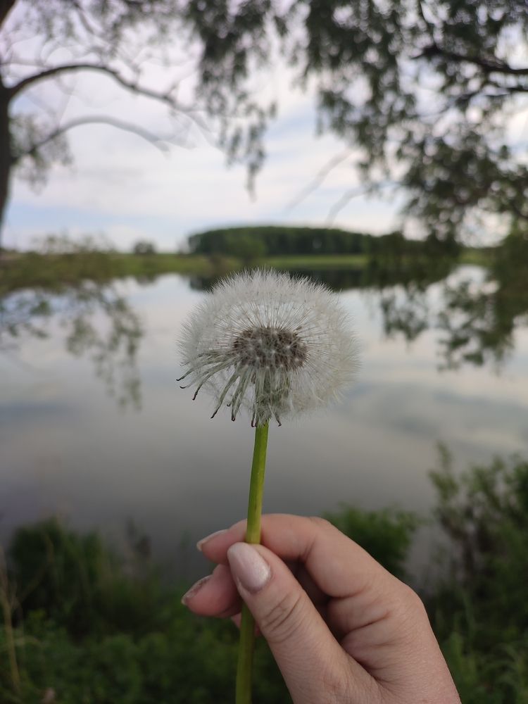 Photograph by Татьяна Мазепова