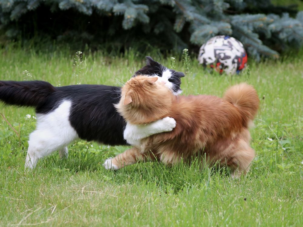 Photograph by Артемий