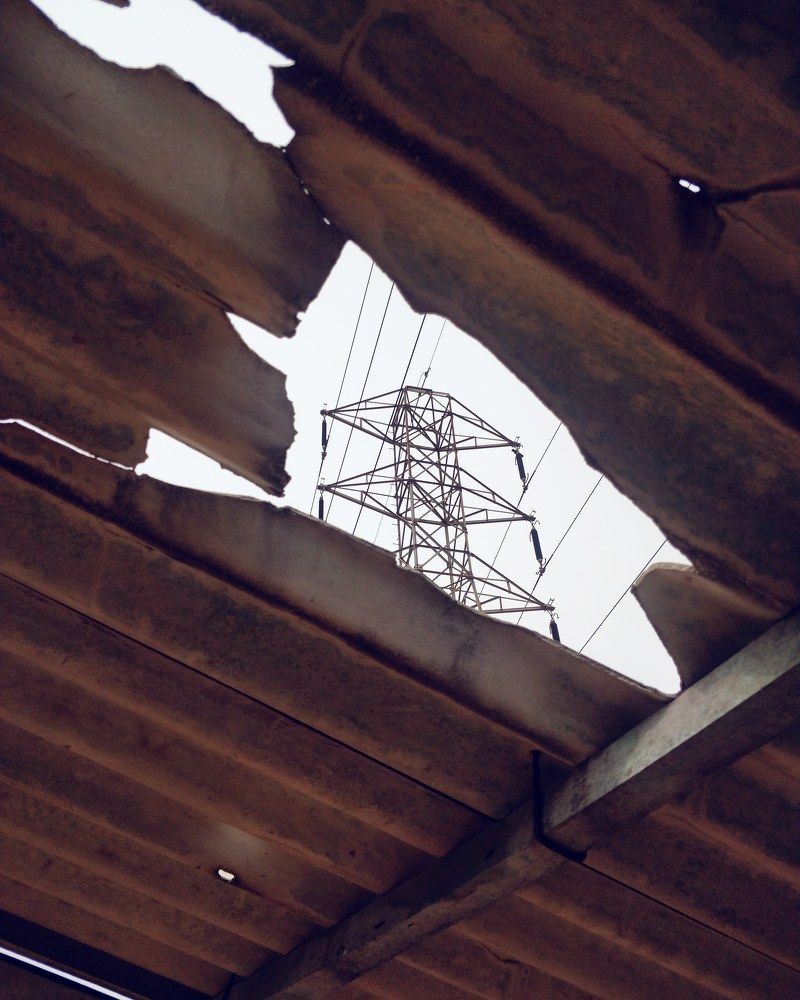 Photograph by Surendran Kalaivani