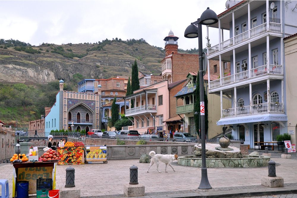 Photograph by Violeta Likhodedi