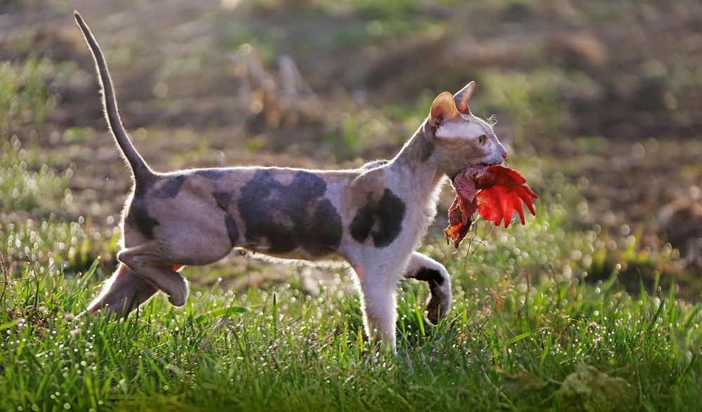 Photograph by Аркадова Елена