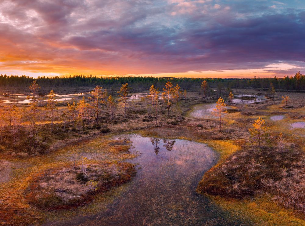 Photograph by Gureva Elena