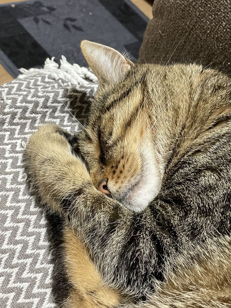 Photograph by Viktor Dikmann