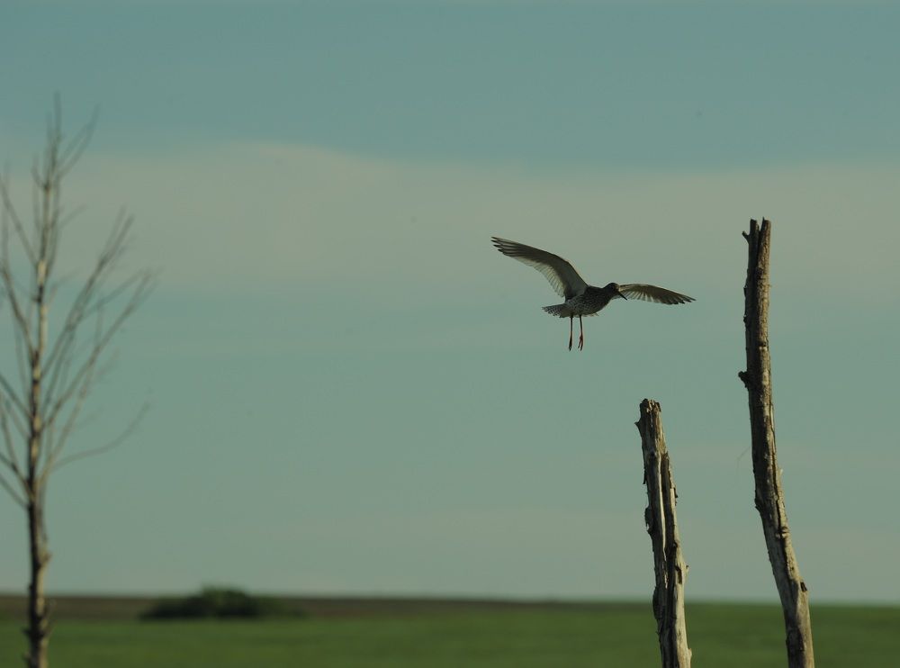 Photograph by Наталья Анисимова