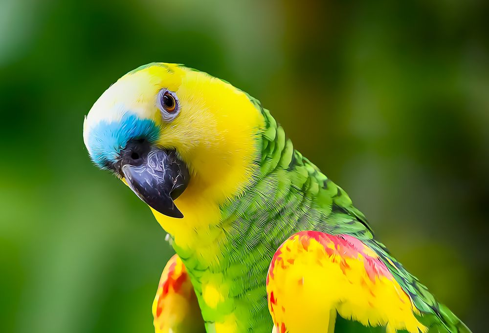 Photograph by Everton Medeiros