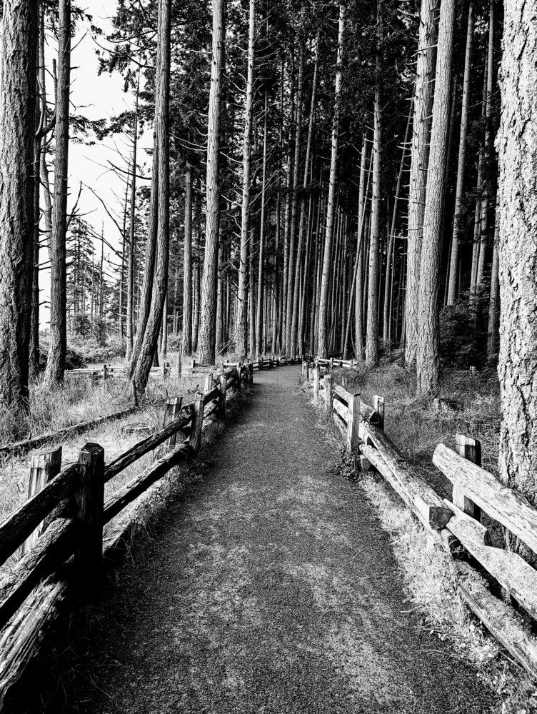 Photograph by Lsonina