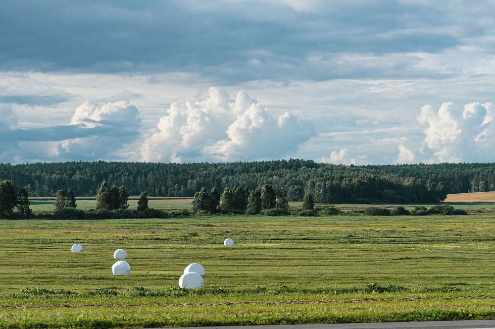 Photograph by Ольга Ларизадех