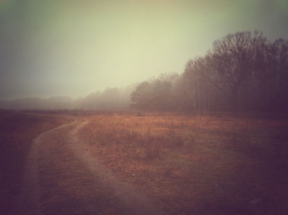 Осенний туман