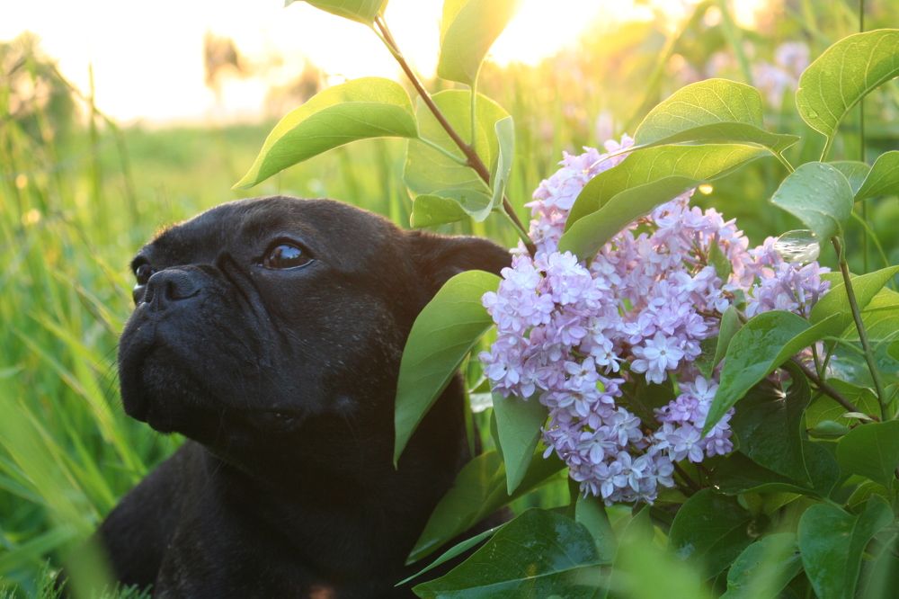 Фотография автора Татьяна Шебаршенко