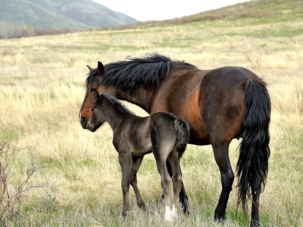 " Вместе " _ " Together "